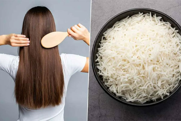 ساختار مو و نیازهای تغذیهای